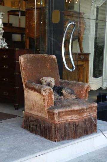 Late 19th Century French Armchair