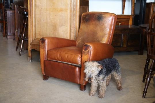 Pair of Leather Club Chairs