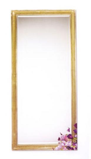 Long, Portrait Gold and Silver Mirror (new)