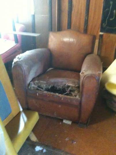 Leather Club Chair 