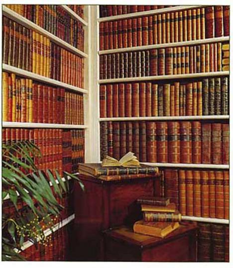 Faux Book Wall