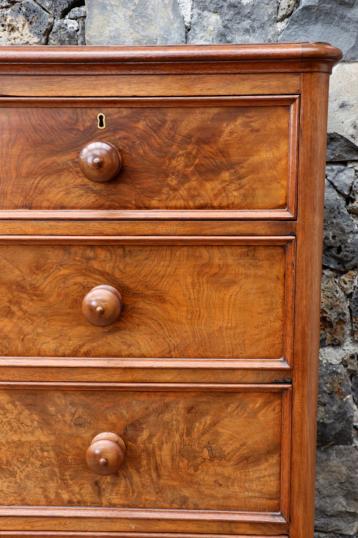 William IV Chest of Drawers