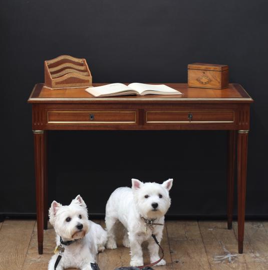 Small Louis XVI Walnut Bureau Plat