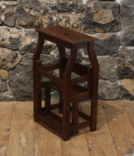 Metamorphic Library Ladder in English Oak