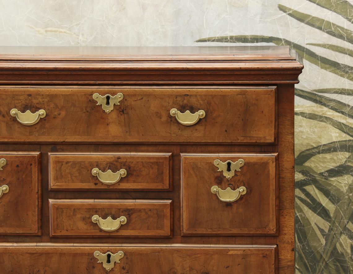 Walnut Chest of Drawers