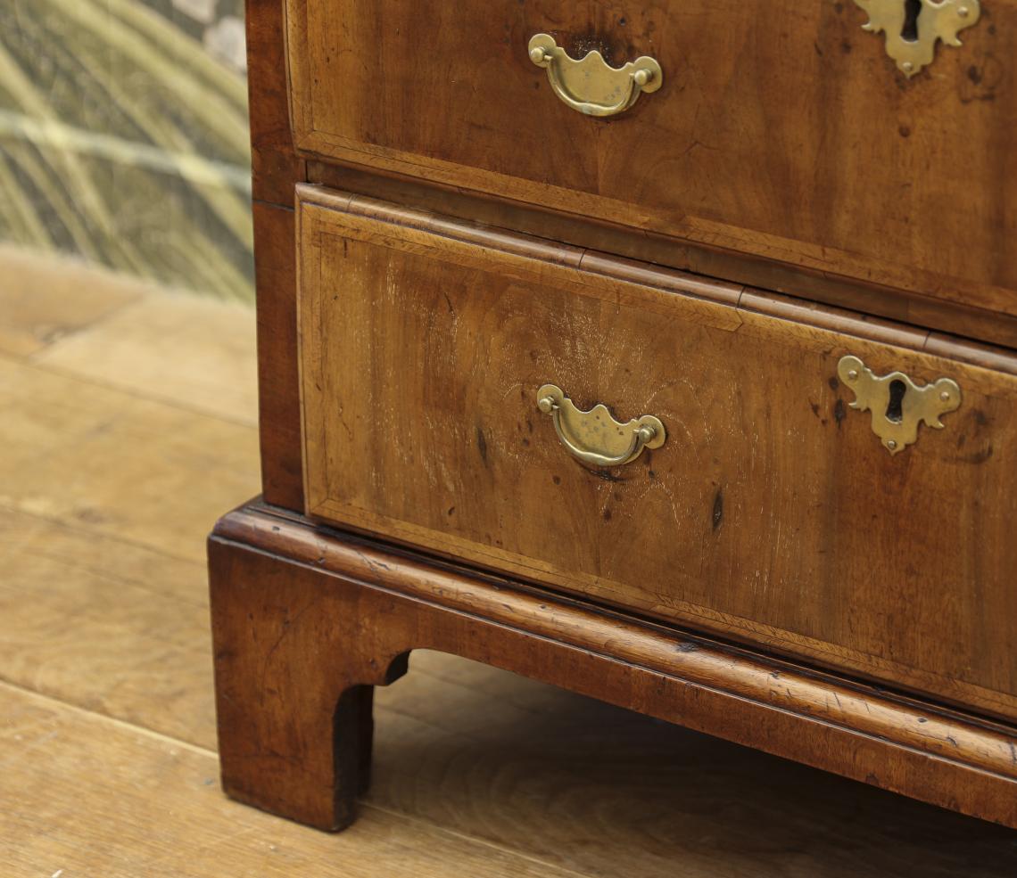 Walnut Chest of Drawers