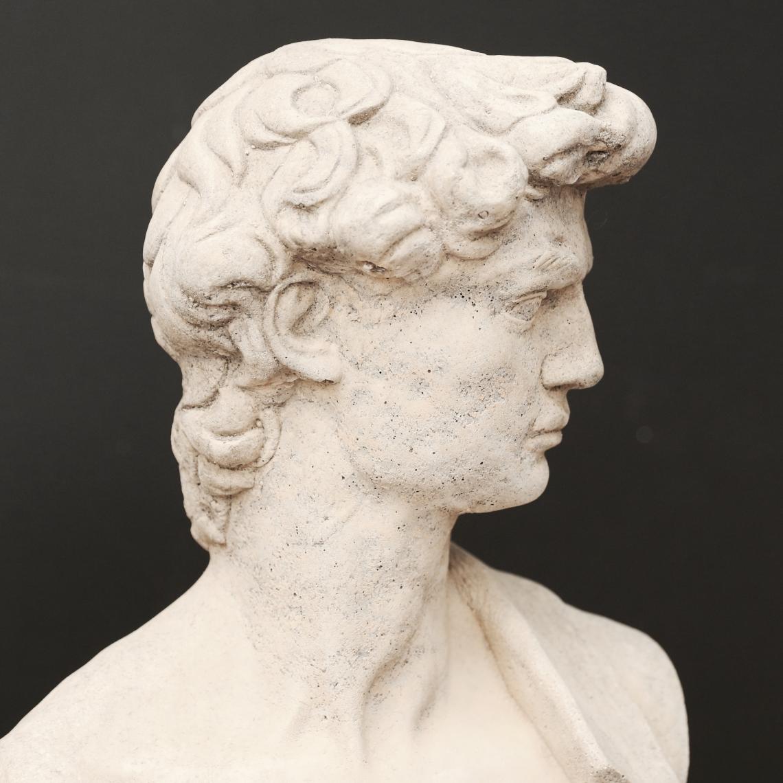 Bust of David