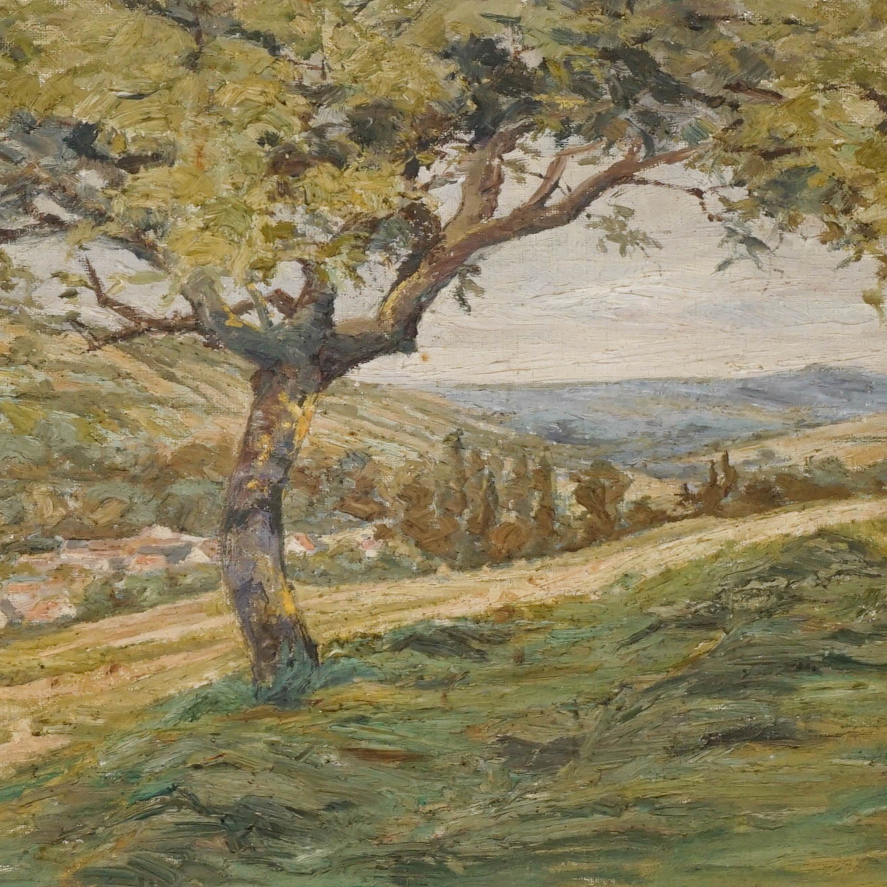 Tree over a Valley / Oil on Canvas