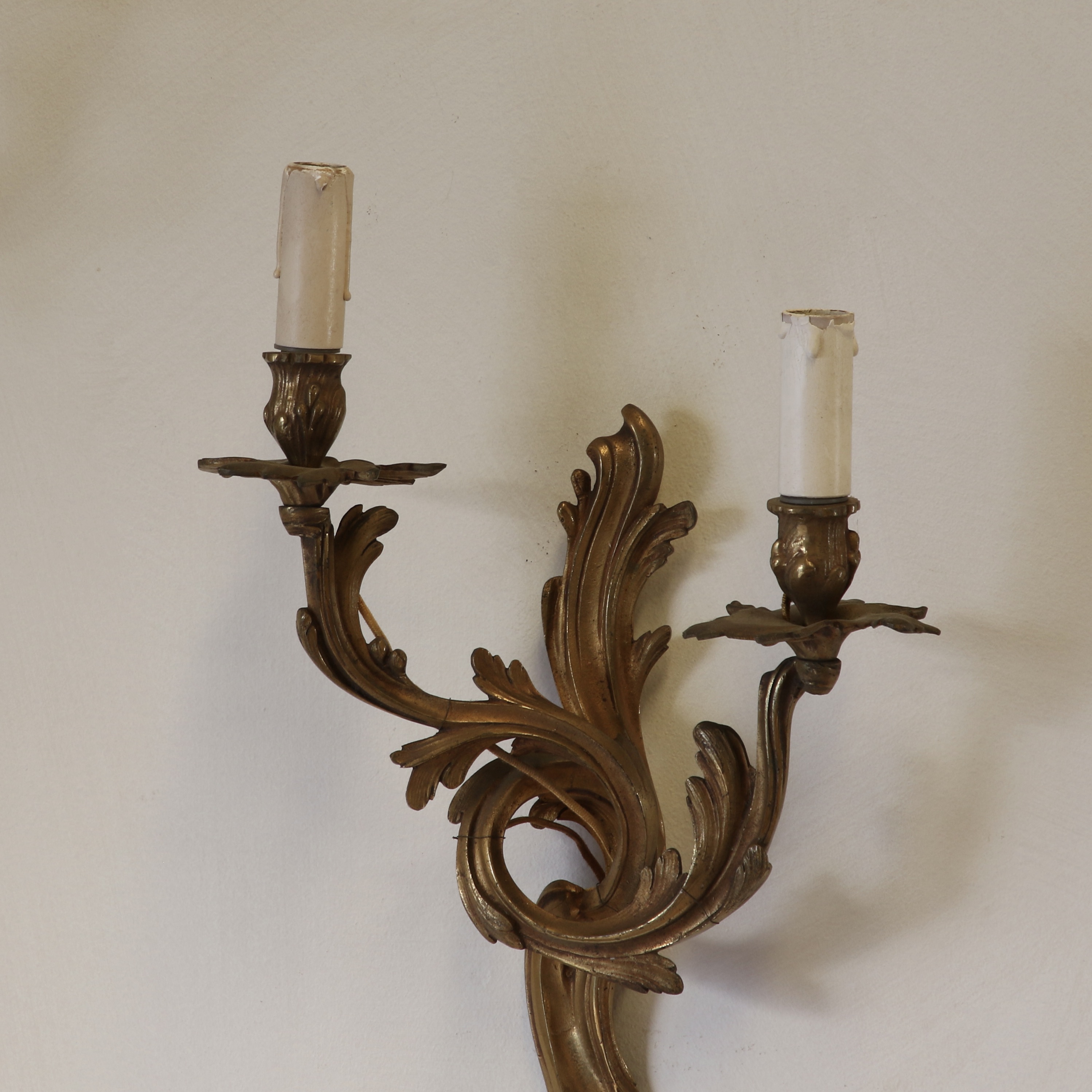 Pair of Acanthus Leaf Wall Sconce