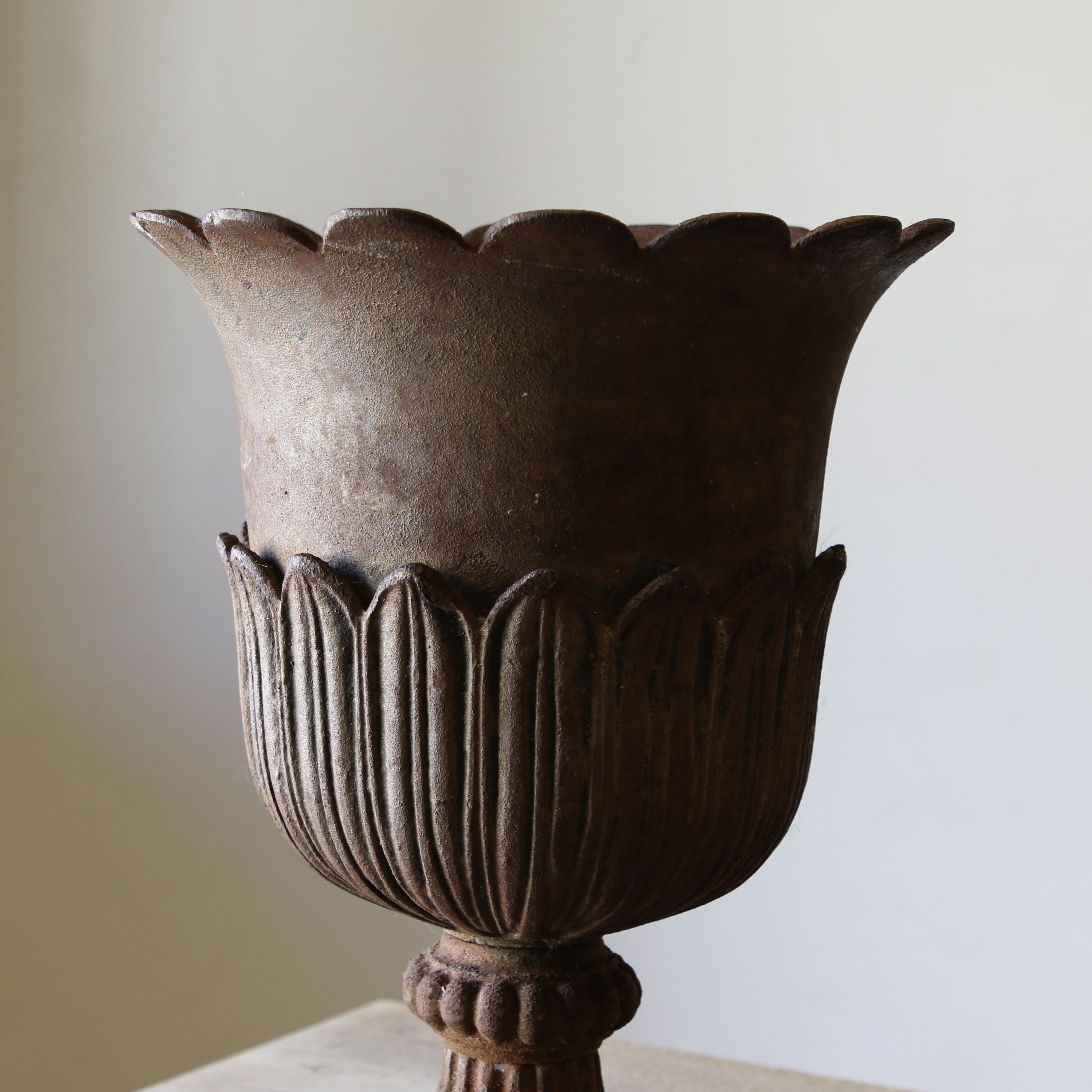 Cast Iron Lotus Urns