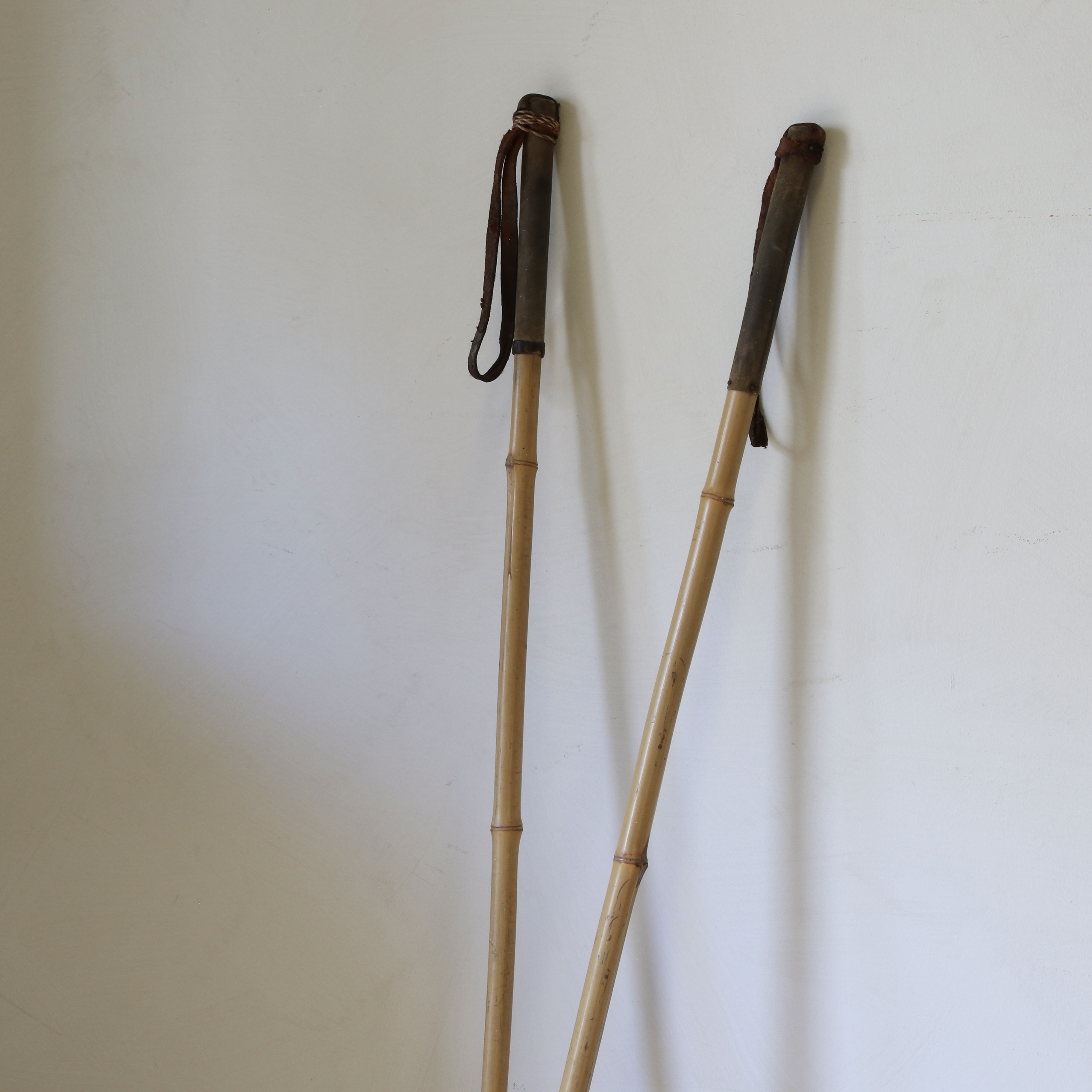 Bamboo Ski Poles