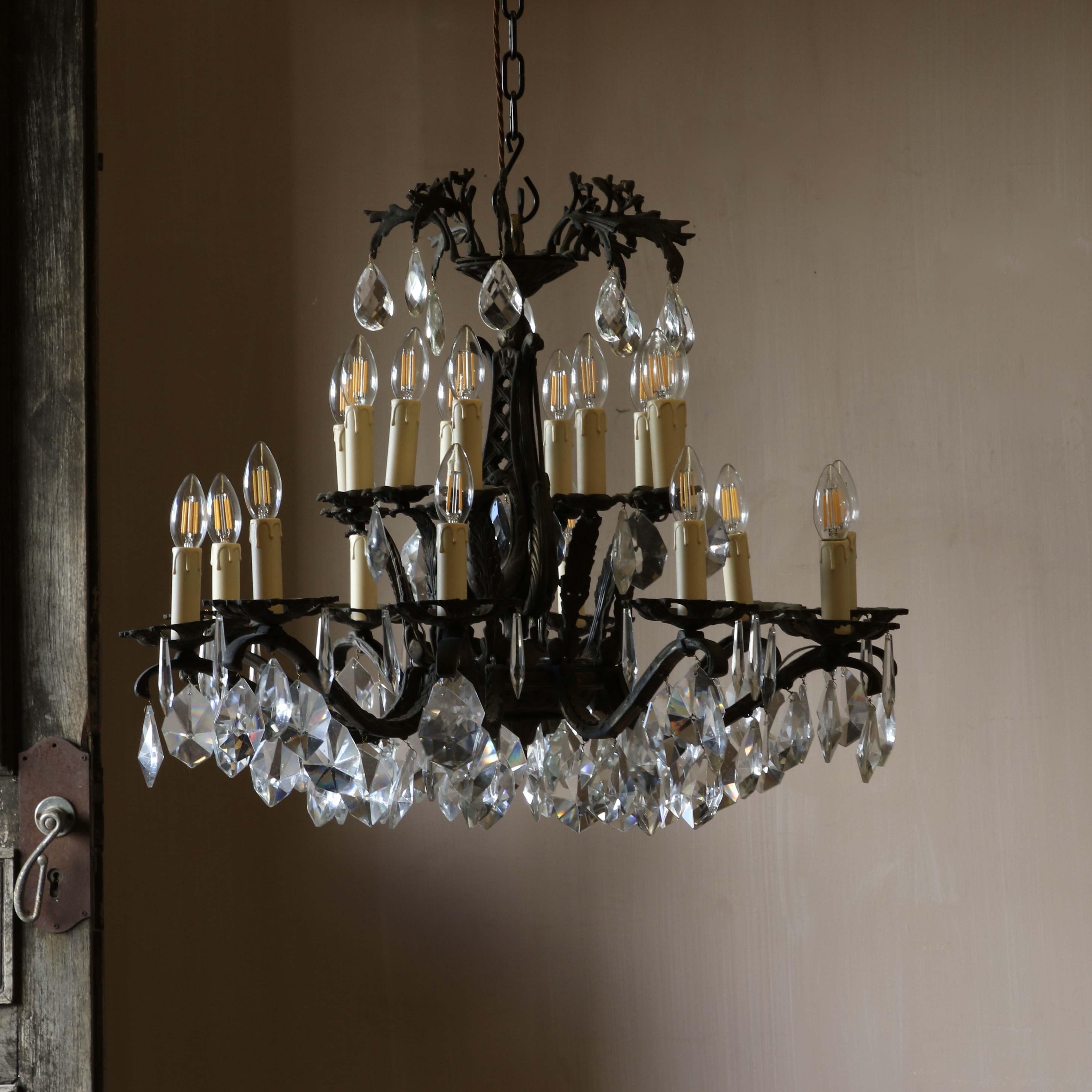 French 20 Light Chandelier