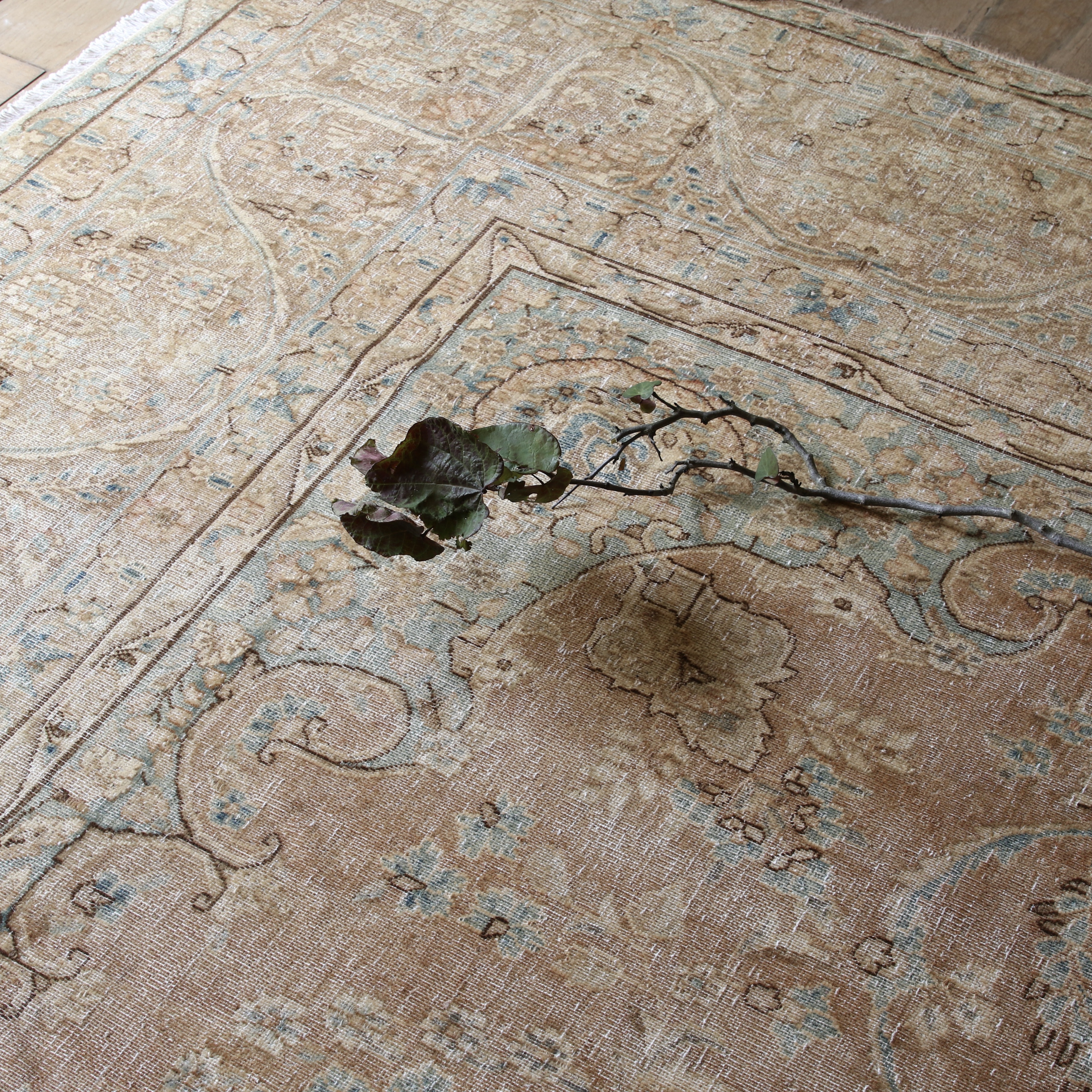 153-61 - Kerman Rug / Smoked Salmon + Turquoise 